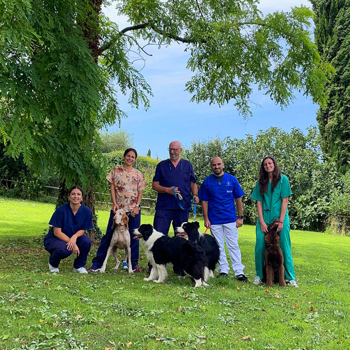minerva-cane-home