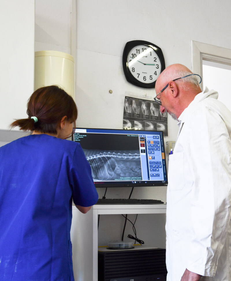 radiologia ecografia