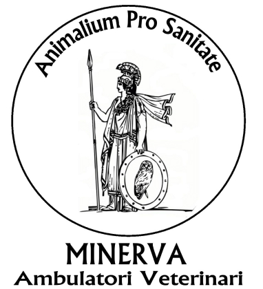 logo-minerva